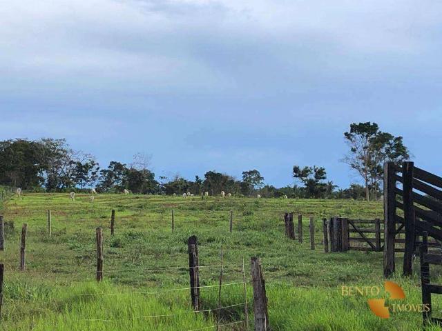 Fazenda venda em Chapada dos Guimarães, Região Geográfica Intermediária de Cuiabá