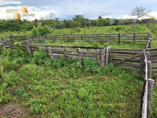 Fazenda venda em Região Geográfica Imediata de Cuiabá, Região Metropolitana do Vale do Rio Cuiabá