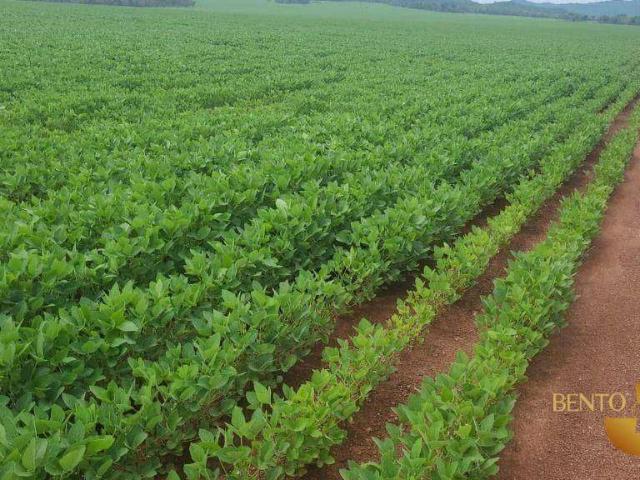 Fazenda venda em Chapada dos Guimarães, Região Geográfica Intermediária de Cuiabá