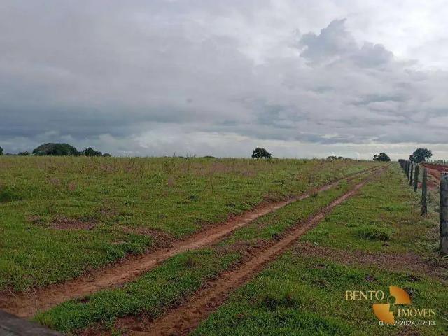 Fazenda venda em Região Geográfica Imediata de Cuiabá, Região Metropolitana do Vale do Rio Cuiabá