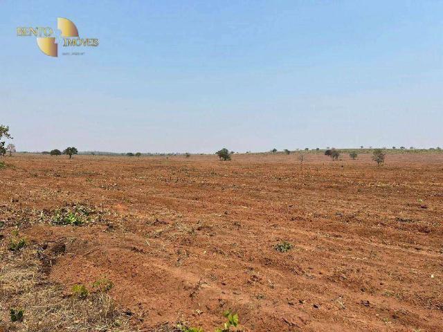 Fazenda venda em Chapada dos Guimarães, Região Geográfica Intermediária de Cuiabá