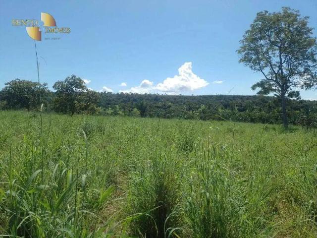 Fazenda venda em Região Geográfica Imediata de Cuiabá, Região Metropolitana do Vale do Rio Cuiabá
