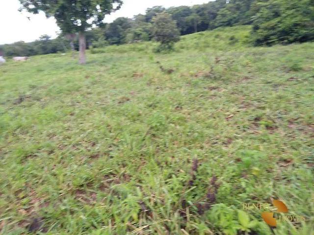 Fazenda venda em Região Geográfica Imediata de Cuiabá, Região Metropolitana do Vale do Rio Cuiabá