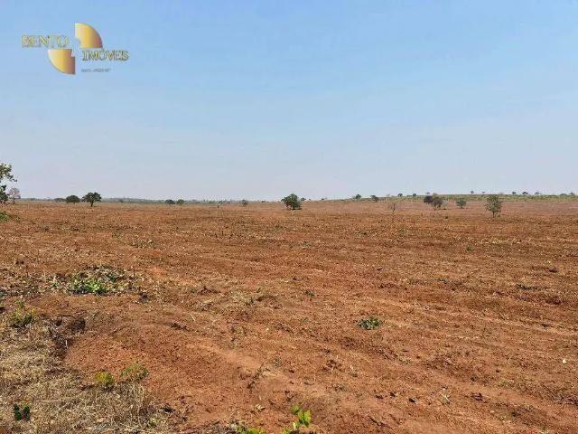 Fazenda venda em Região Geográfica Imediata de Cuiabá, Região Metropolitana do Vale do Rio Cuiabá