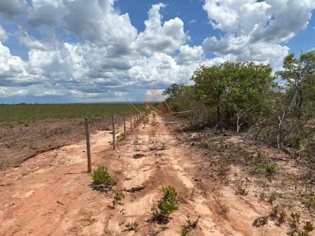 Fazenda venda em Região Geográfica Imediata de São Francisco, Chapada Gaúcha