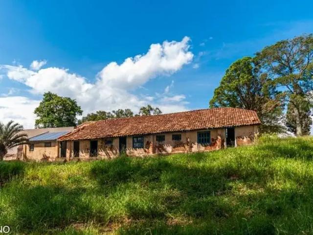 Fazenda venda em Jardim do Bosque, Charqueada