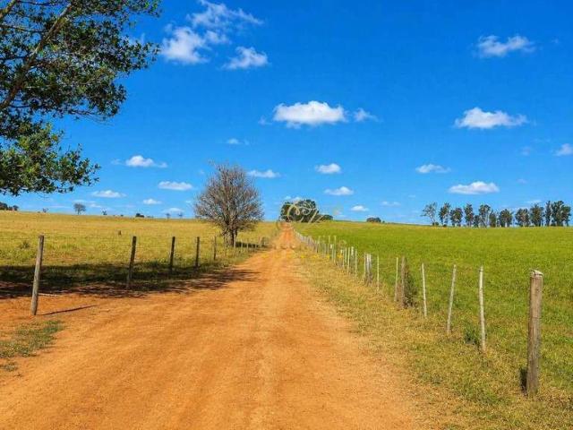 Fazenda venda em Cianorte, Região Geográfica Intermediária de Maringá