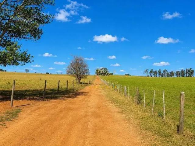 Fazenda venda em Região Geográfica Imediata de Cianorte, Cianorte