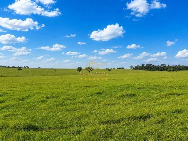 Fazenda venda em Cianorte, Região Geográfica Intermediária de Maringá