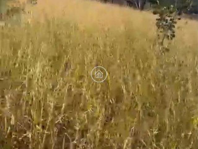 Sítio e chácara venda em Região Geográfica Imediata de Montes Claros, Montes Claros