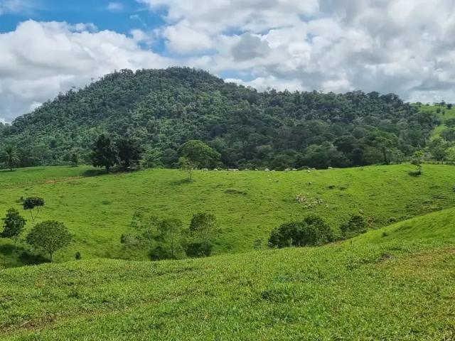 Fazenda venda em Região Geográfica Imediata de Ilhéus – Itabuna, Coaraci