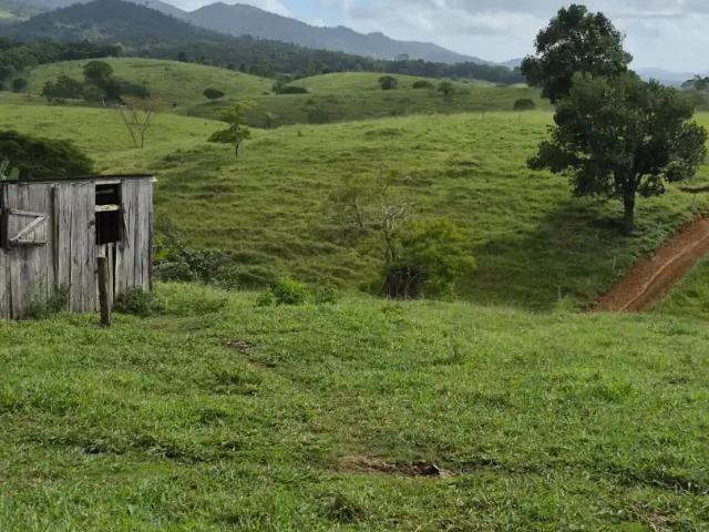 Fazenda venda em Região Geográfica Imediata de Ilhéus – Itabuna, Coaraci