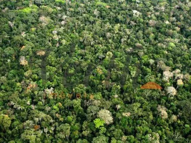 Fazenda venda em Coari, Região Norte