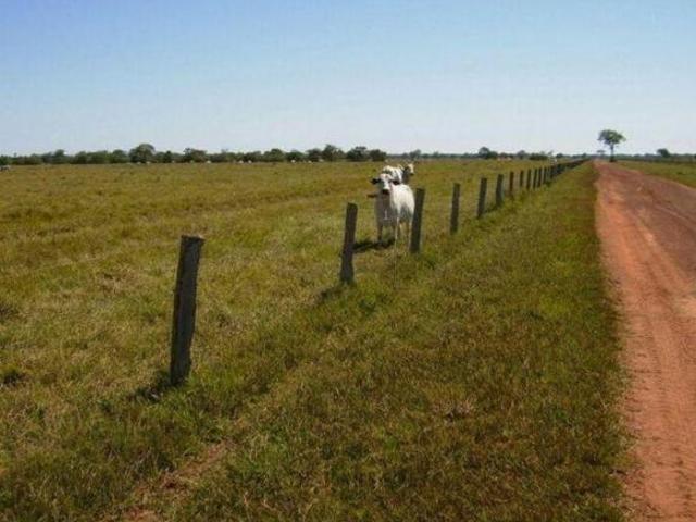 Sítio e chácara venda em Região Geográfica Imediata de Água Boa, Cocalinho