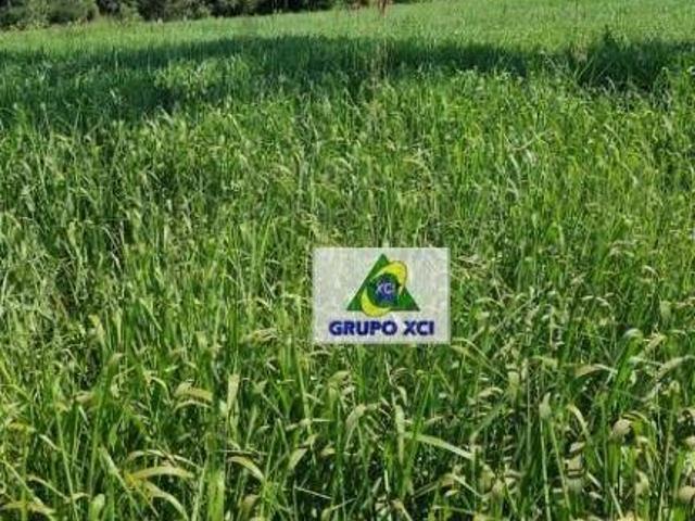 Sítio e chácara venda em Região Geográfica Imediata de Água Boa, Cocalinho