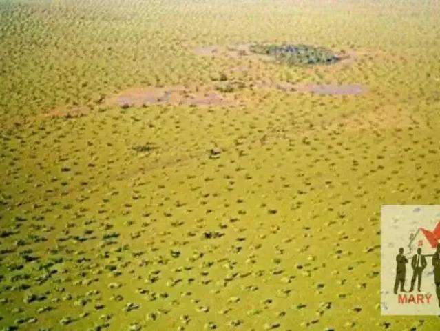 Fazenda venda em Região Geográfica Imediata de Água Boa, Cocalinho