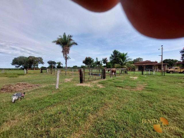 Fazenda venda em Cocalinho, Região Geográfica Intermediária de Barra do Garças