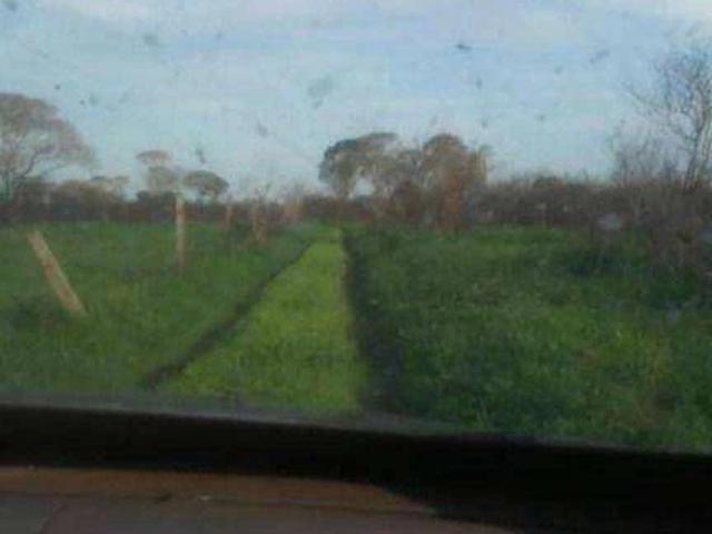 Fazenda venda em Cocalinho, Região Geográfica Intermediária de Barra do Garças