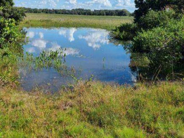 Fazenda venda em Cocalinho, Região Geográfica Intermediária de Barra do Garças