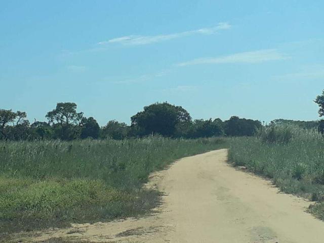 Fazenda venda em Região Geográfica Imediata de Água Boa, Cocalinho