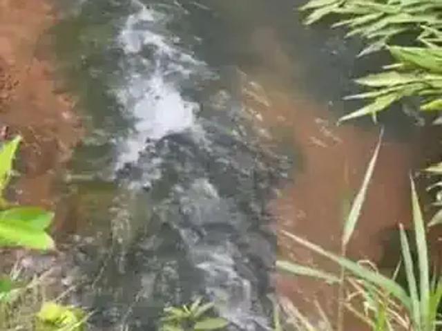 Fazenda venda em Região Geográfica Imediata de Águas Lindas de Goiás, Região Integrada de Desenvolvimento do Distrito Federal e Entorno