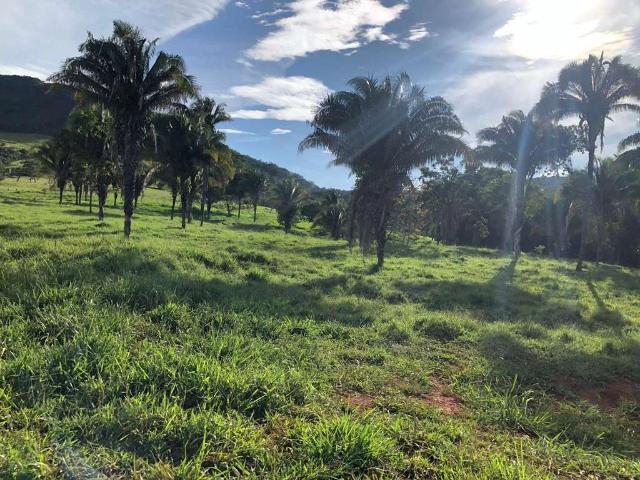 Fazenda venda em Cocalzinho de Goiás, Região Geográfica Intermediária de Luziânia-Águas Lindas de Goiás