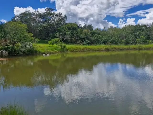 Fazenda venda em Região Geográfica Imediata de Águas Lindas de Goiás, Região Integrada de Desenvolvimento do Distrito Federal e Entorno