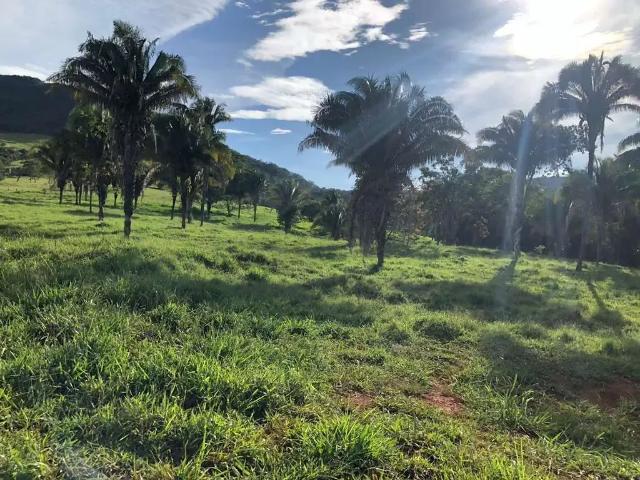 Fazenda venda em Região Geográfica Imediata de Águas Lindas de Goiás, Região Integrada de Desenvolvimento do Distrito Federal e Entorno
