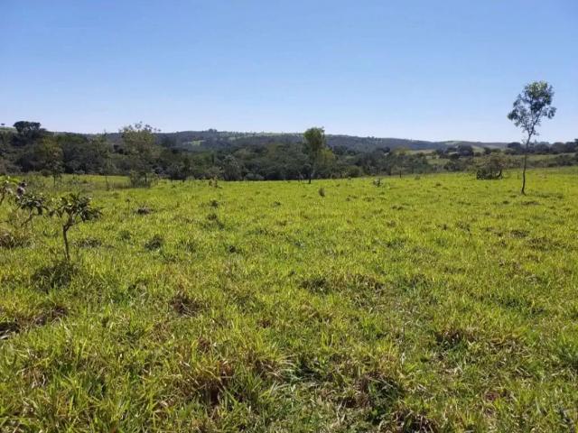 Fazenda venda em Região Geográfica Imediata de Águas Lindas de Goiás, Região Integrada de Desenvolvimento do Distrito Federal e Entorno