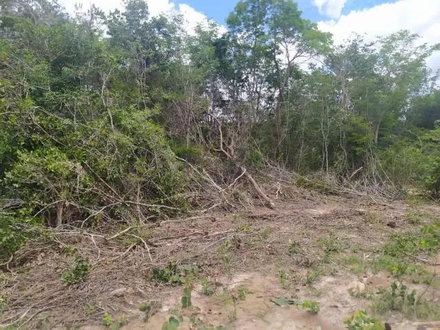Fazenda venda em Cocos, Região Nordeste