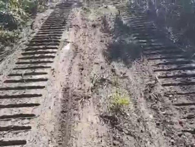 Fazenda venda em Coelho Neto, Região Nordeste