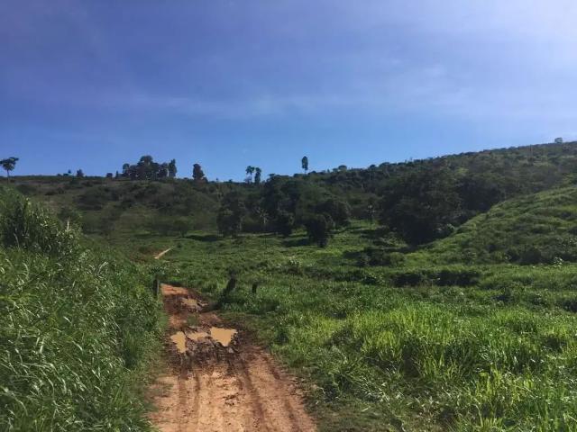 Fazenda venda em Região Geográfica Imediata de Colatina, Colatina