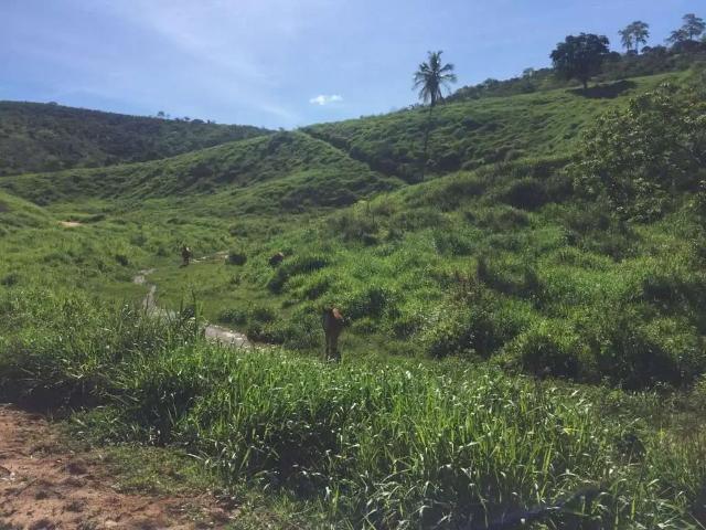Fazenda venda em Região Geográfica Imediata de Colatina, Colatina