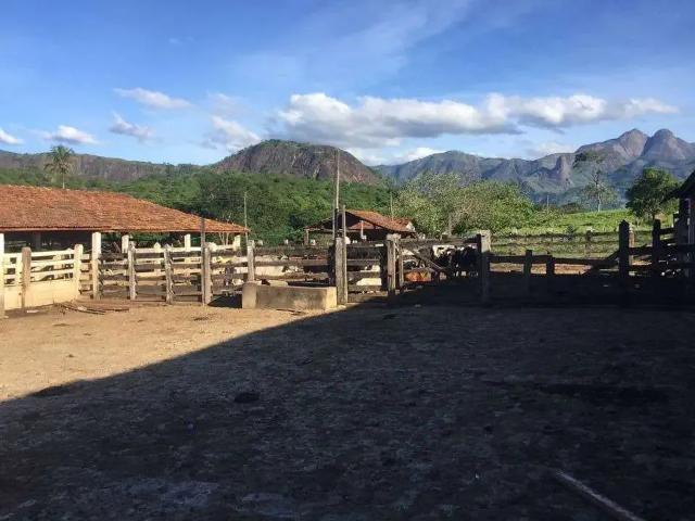 Fazenda venda em Região Geográfica Imediata de Colatina, Colatina