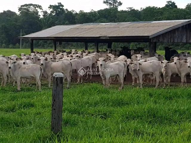 Fazenda venda em Região Geográfica Imediata de Sinop, Colider