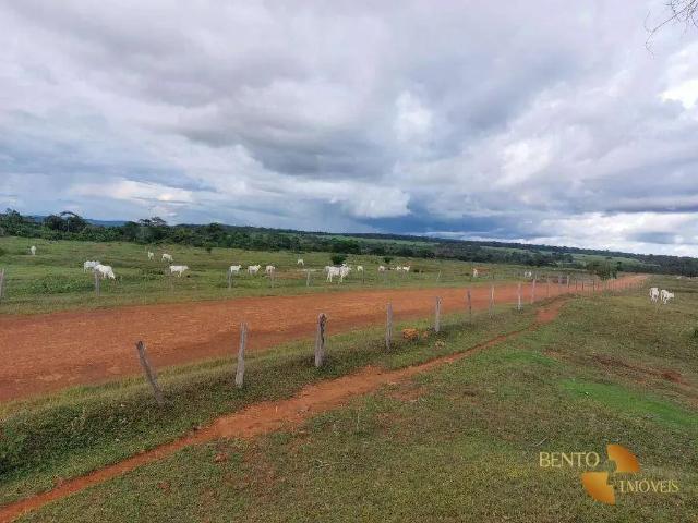 Fazenda venda em Região Geográfica Imediata de Sinop, Colider