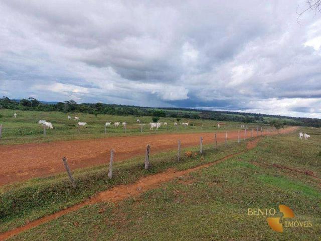 Fazenda venda em Colíder, Região Geográfica Intermediária de Sinop
