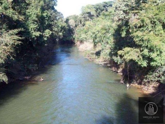 Sítio e chácara venda em Região Imediata de Itapeva, Itapeva