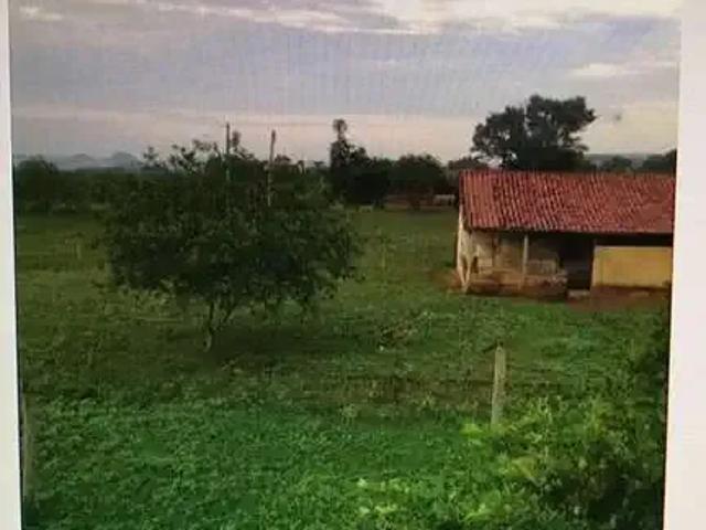 Fazenda venda em Região Geográfica Imediata de Uruaçu - Niquelândia, Colinas do Sul