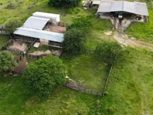 Fazenda venda em Região Geográfica Imediata de Uruaçu - Niquelândia, Colinas do Sul