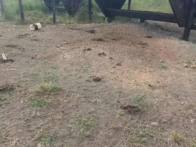 Fazenda venda em Região Geográfica Imediata de Uruaçu - Niquelândia, Colinas do Sul