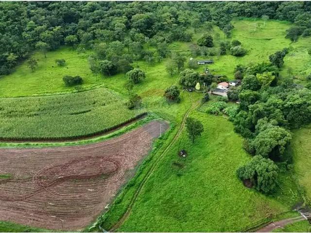 Fazenda venda em Região Imediata de Barretos, Colina