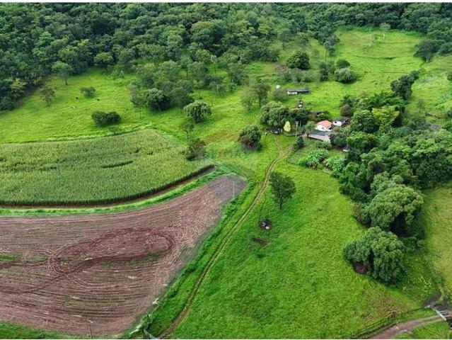 Fazenda venda em Loteamento Polizelli, Colina