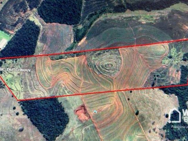 Sítio e chácara venda em Região Geográfica Imediata de Paranacity-Colorado, Colorado