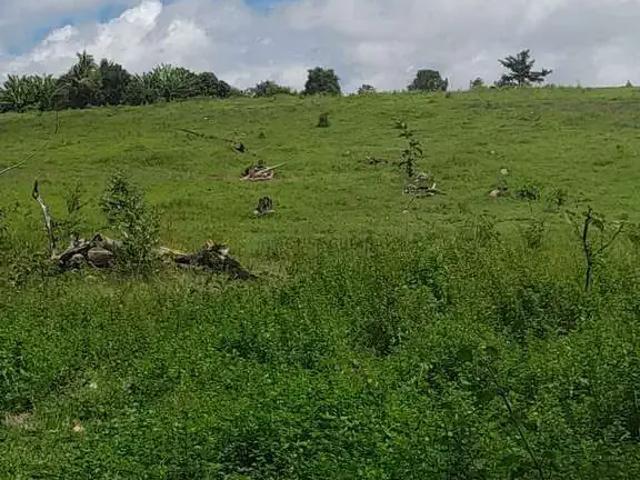 Fazenda venda em Região Geográfica Imediata de Pontes e Lacerda - Comodoro, Comodoro