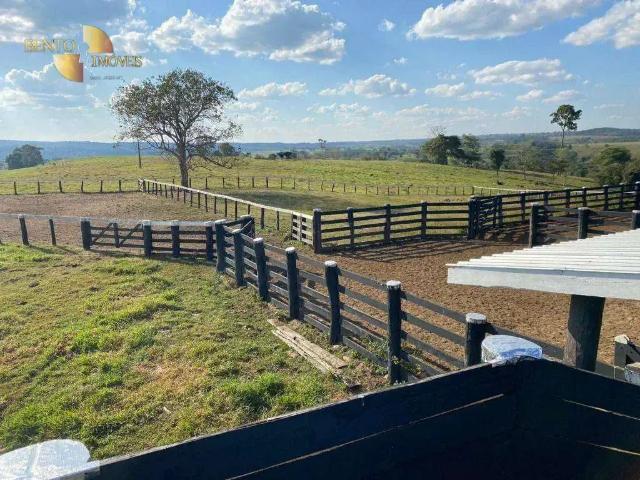 Fazenda venda em Região Geográfica Imediata de Pontes e Lacerda - Comodoro, Comodoro