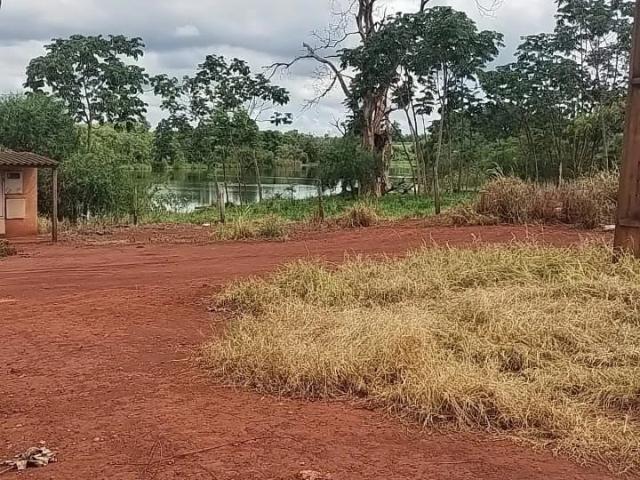 Fazenda venda em Conceição das Alagoas, Região Geográfica Intermediária de Uberaba