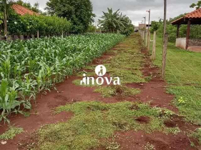 Fazenda venda em Região Geográfica Imediata de Uberaba, Conceição das Alagoas