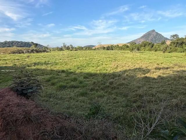 Fazenda venda em Região Geográfica Imediata de Macaé-Rio das Ostras, Conceição de Macabu