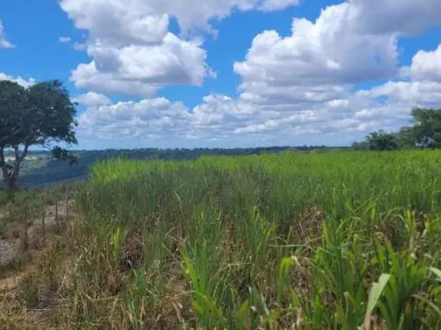 Fazenda venda em Região Geográfica Imediata de Feira de Santana, Região Metropolitana de Feira de Santana